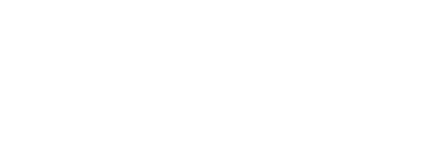Engagementnetzwerke dienen auch als besondere Lernorte f r Demokratie – und f rdern diese! 